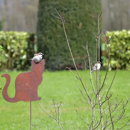 Insolites A Chimay - Les Roulottes A Riezes Landhuis Chimay