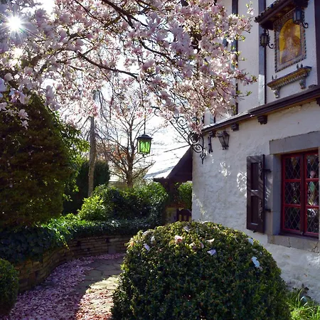 Insolites A Chimay - Gite Et Chambres D'Hotes - Roulottes Chimay