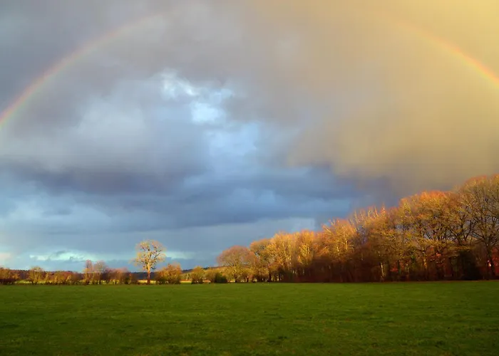 Insolites A Chimay - Les Roulottes A Riezes Chimay