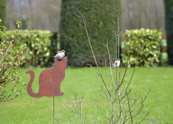 Insolites A Chimay - Les Roulottes A Riezes Landhaus Chimay